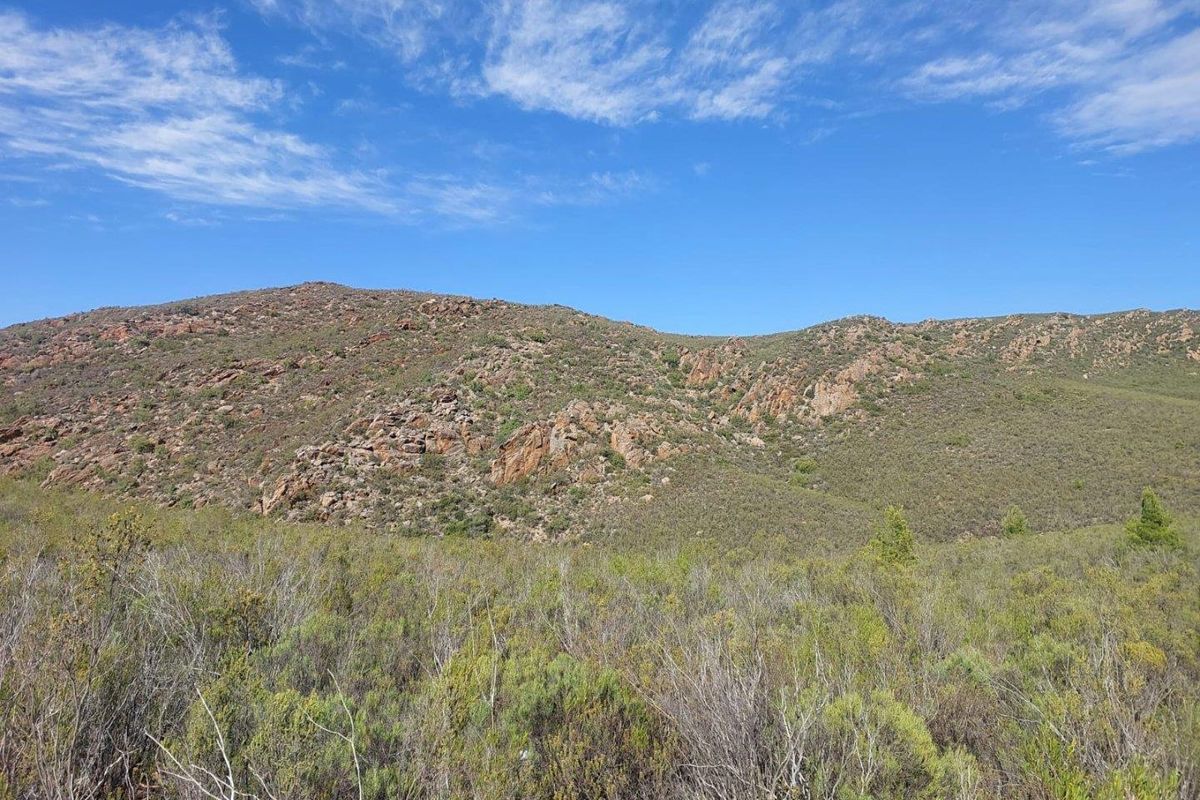 Farm For Sale in Ladismith Rural, Ladismith - Photo 5