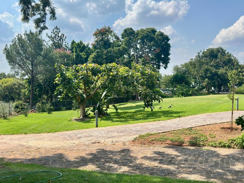 House For Sale in Waterkloof Heights, Pretoria - Photo 6