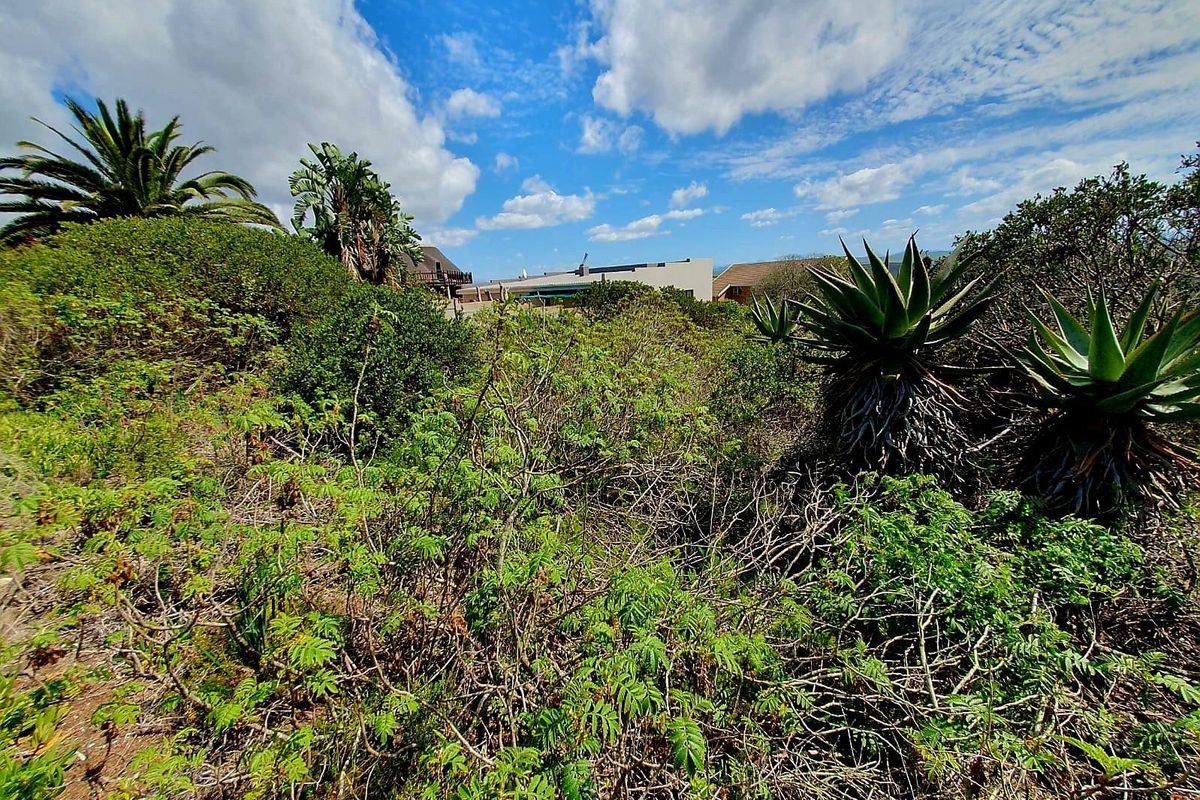 A view of a vacant residential plot featuring dense indigenous vegetation and mature agave plants with neighboring properties visible in the background.