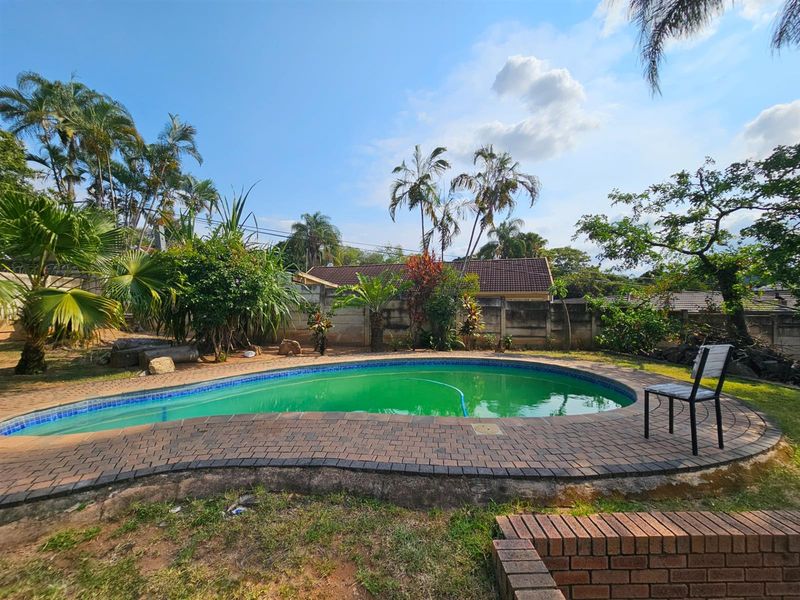 Outdoor pool area featuring a curved swimming pool with brick paving surround and established garden landscaping.