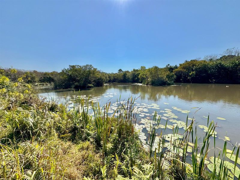 Small Holding For Sale in Umtentweni, Port Shepstone, KwaZulu Natal - Photo 5