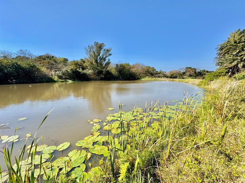 Small Holding For Sale in Umtentweni, Port Shepstone, KwaZulu Natal - Photo 4