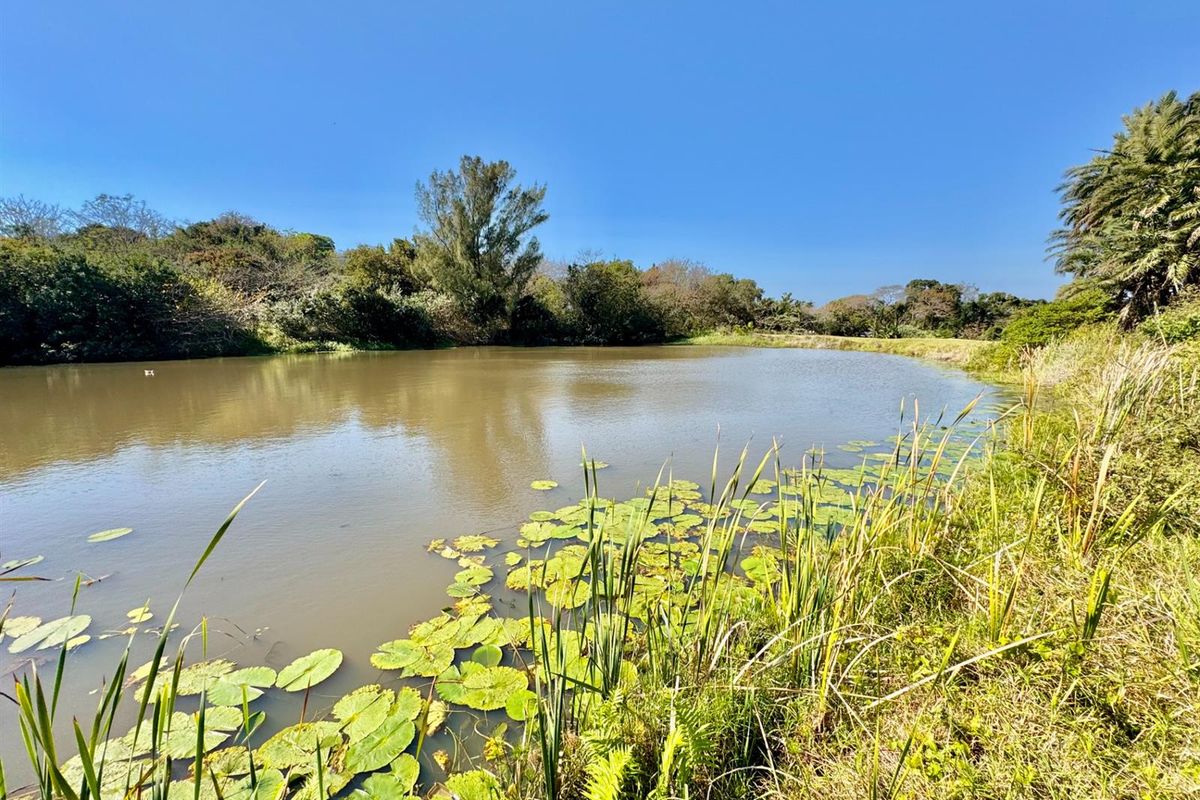 Small Holding For Sale in Umtentweni, Port Shepstone, KwaZulu Natal - Photo 4