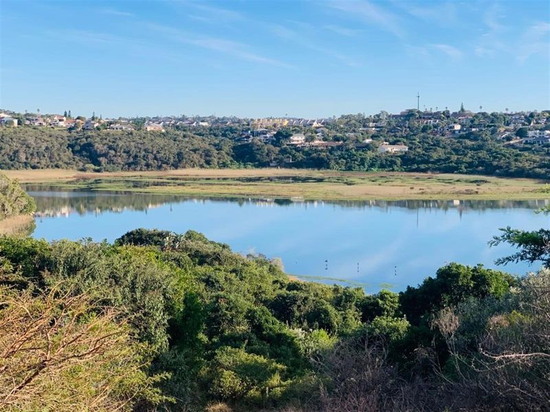 A scenic elevated view overlooking a tranquil lake surrounded by lush natural vegetation and distant residential hillside developments.