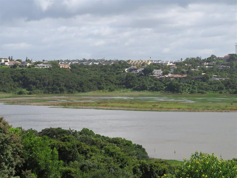 A scenic elevated view overlooking a river estuary and surrounding natural landscape with residential properties visible in the distance.