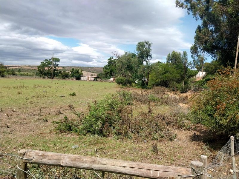 Small Holding For Sale in Heidelberg Western Cape - Photo 7