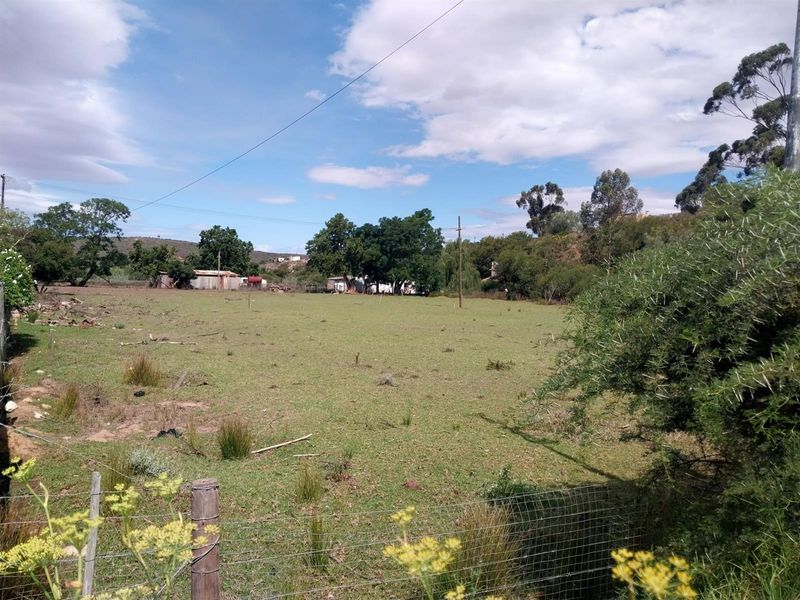 Small Holding For Sale in Heidelberg Western Cape - Photo 6
