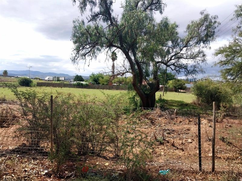 Small Holding For Sale in Heidelberg Western Cape - Photo 10