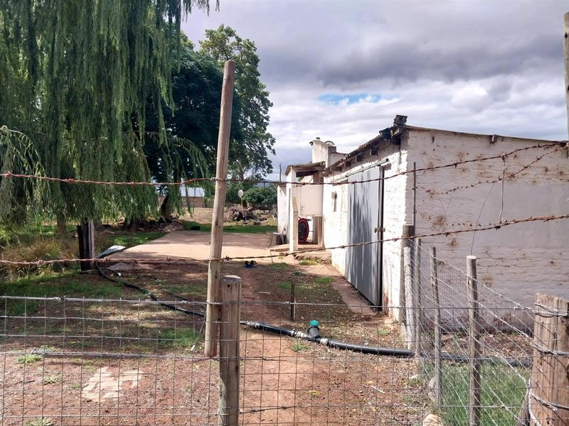 Small Holding For Sale in Heidelberg Western Cape - Photo 8