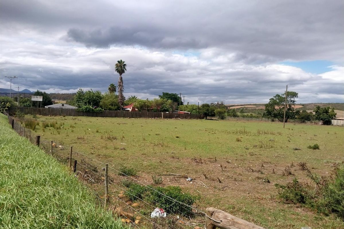 Small Holding For Sale in Heidelberg Western Cape - Photo 4