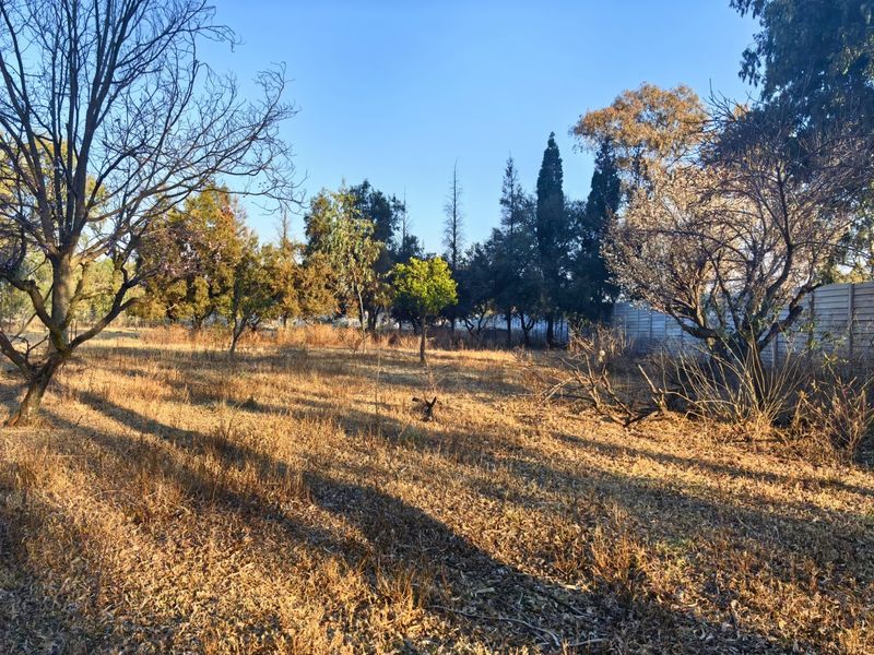 A view of a vacant residential plot featuring mature trees and perimeter fencing, offering a natural setting for potential development.