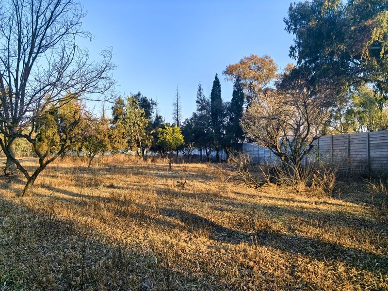 A view of a vacant residential plot featuring established trees and perimeter fencing, offering a natural setting for potential development.