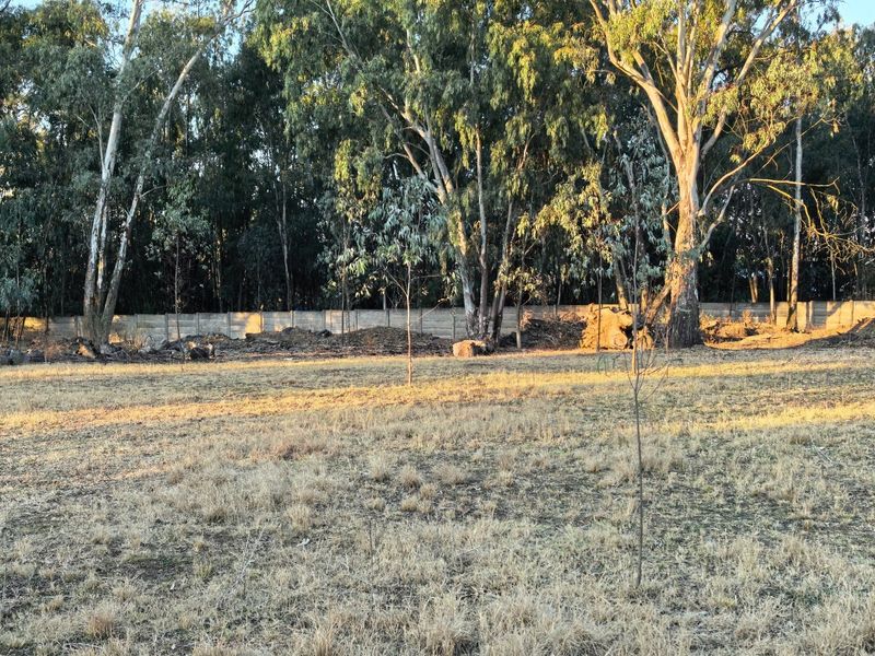 A view of a vacant residential plot featuring mature trees and a precast concrete boundary wall at the rear.