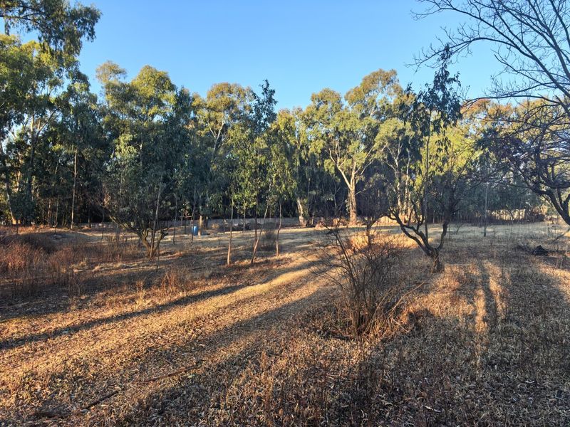 A spacious, undeveloped residential plot featuring mature trees and natural vegetation, offering a blank canvas for future landscaping or construction projects.