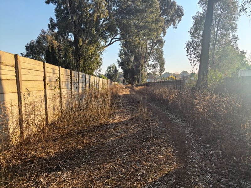 A view of a vacant residential plot featuring a long precast concrete boundary wall and mature trees, currently covered in overgrown dry vegetation.
