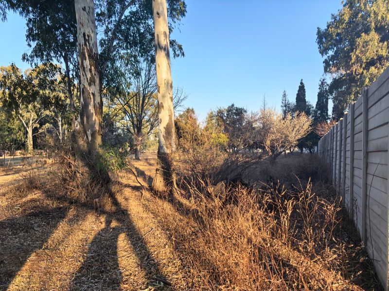 A view of a vacant residential plot featuring mature eucalyptus trees and a precast concrete boundary wall.