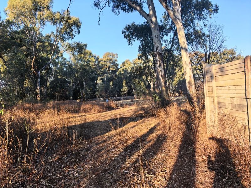 A vacant residential plot featuring mature eucalyptus trees and a precast concrete boundary wall, offering a natural setting for future development.