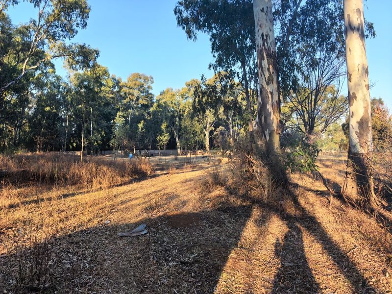 A view of a vacant residential plot featuring mature trees and natural vegetation, offering a peaceful setting for potential development.
