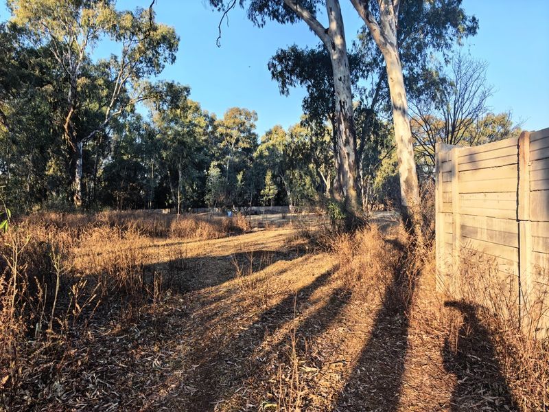 A vacant residential plot featuring mature eucalyptus trees and a precast concrete boundary wall, offering a natural setting for future development.
