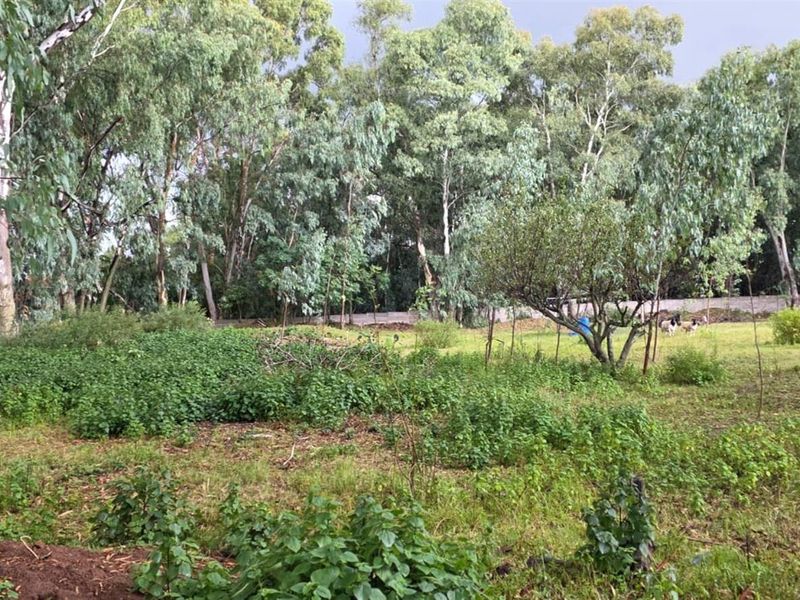 Vacant Land For Sale in Benoni AH, Benoni - Photo 7