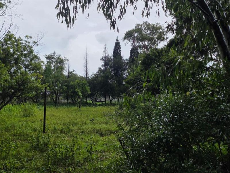 Vacant Land For Sale in Benoni AH, Benoni - Photo 10