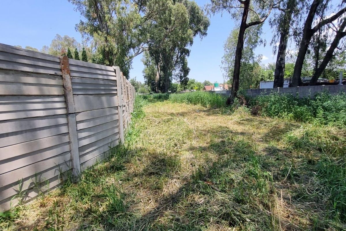 A vacant residential plot featuring a long concrete boundary wall and mature trees, offering a blank canvas for future development.