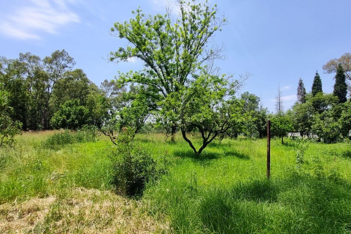 A view of the vacant residential land featuring established trees and natural grass coverage.