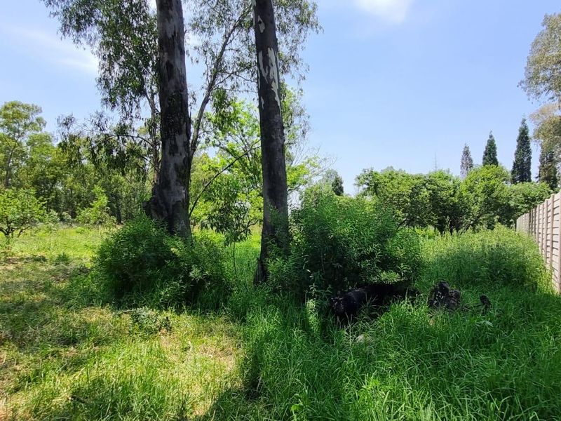 Vacant Land For Sale in Benoni AH, Benoni - Photo 2