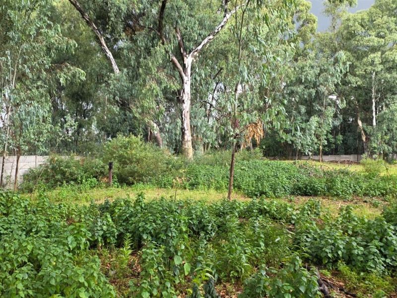 Vacant Land For Sale in Benoni AH, Benoni - Photo 5