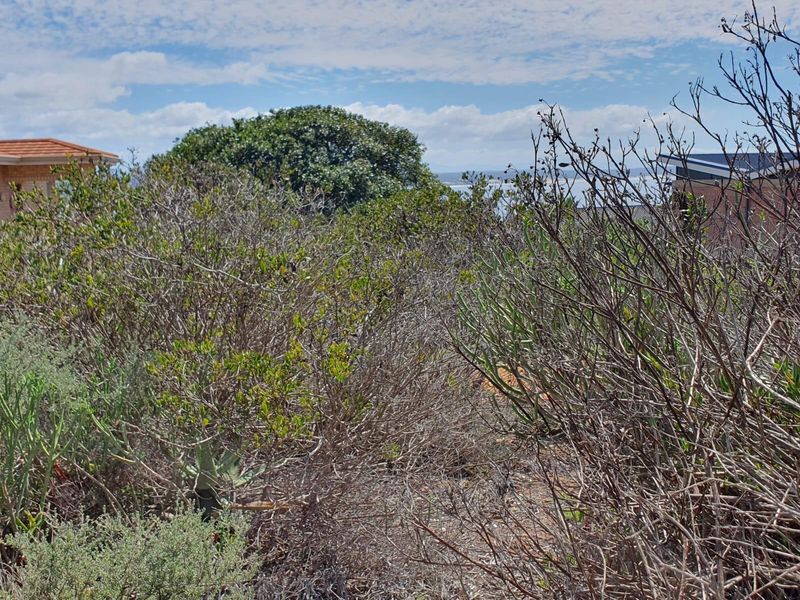 Spacious Coastal Stand with Sea Views and Dual-Living Potential - Photo 8