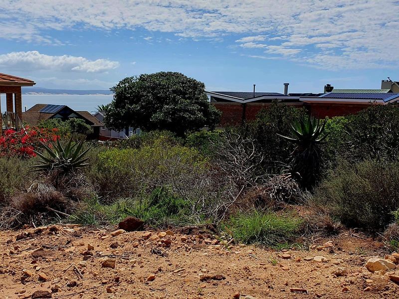 Spacious Coastal Stand with Sea Views and Dual-Living Potential - Photo 7