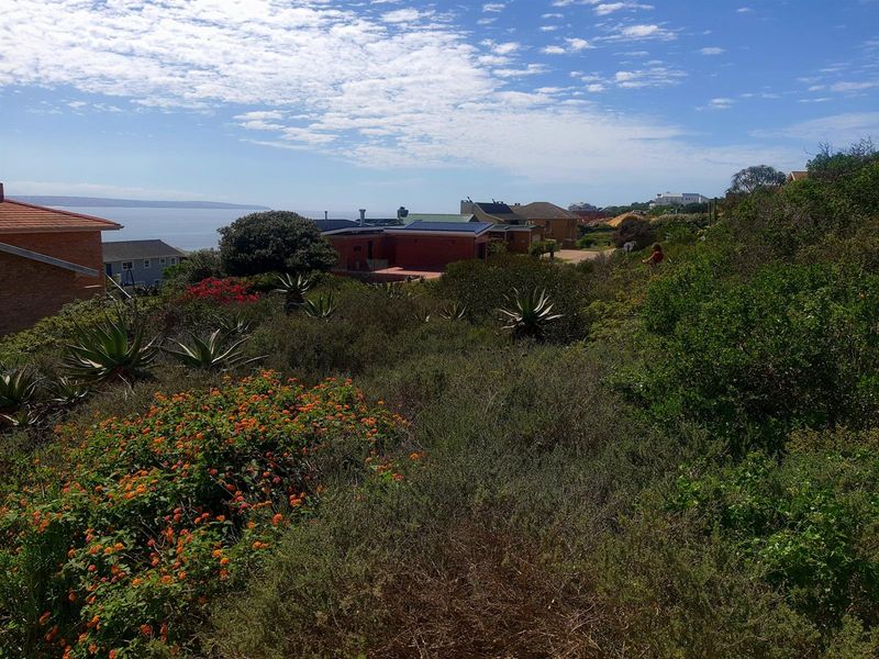 Spacious Coastal Stand with Sea Views and Dual-Living Potential - Photo 5