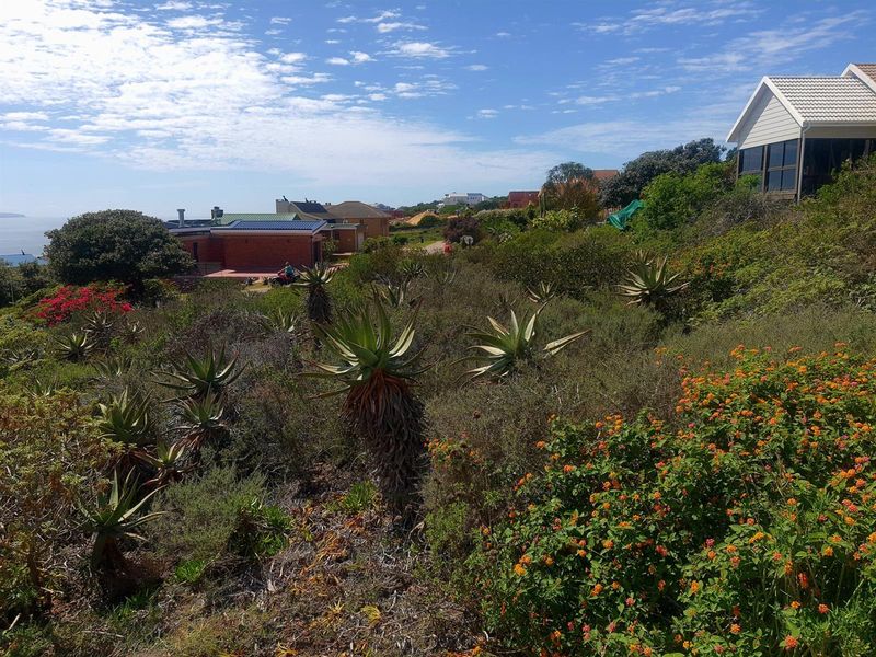 Spacious Coastal Stand with Sea Views and Dual-Living Potential - Photo 9