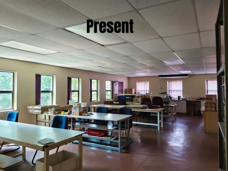 Spacious open-plan office area featuring a drop ceiling with integrated lighting, large windows providing natural light, and durable flooring.
