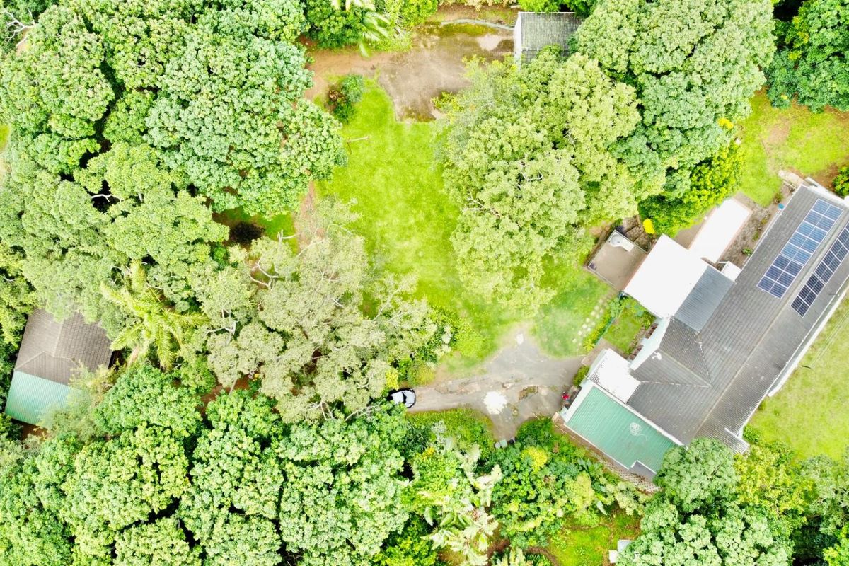 Exceptional Income-Generating Property with Modern Finishes - Photo 2