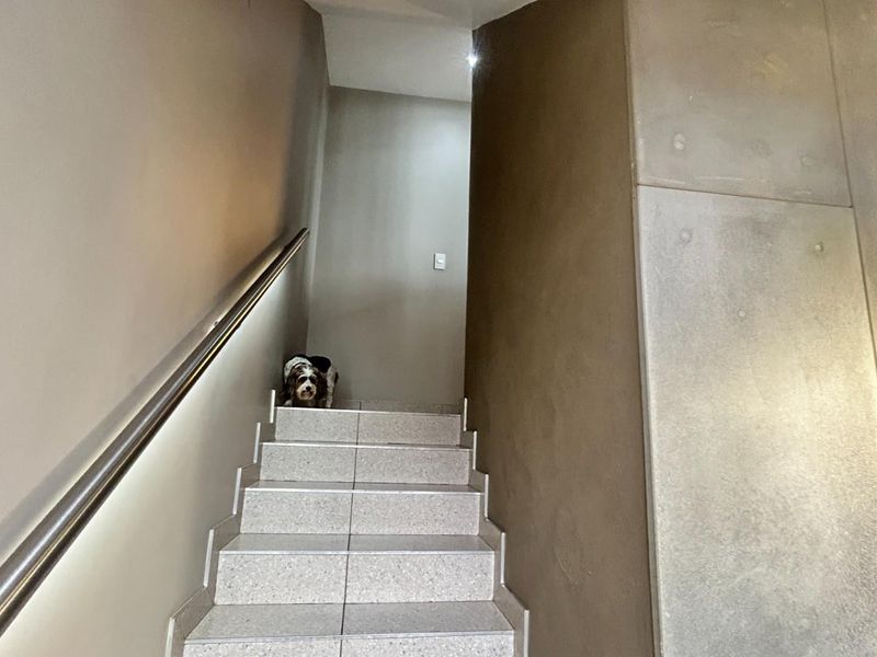 ULTRA-LUXURY TRIPLE-STOREY MASTERPIECE | WATERKLOOF RIDGE - Photo 3