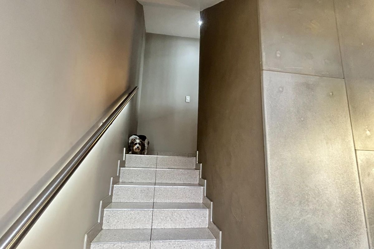 ULTRA-LUXURY TRIPLE-STOREY MASTERPIECE | WATERKLOOF RIDGE - Photo 3