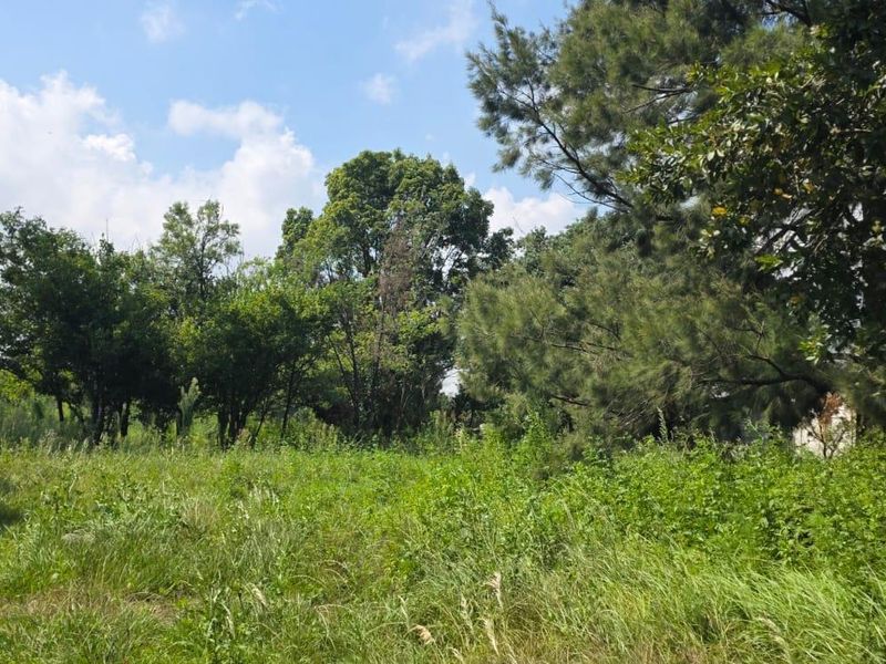 Farm For Sale in Lilyvale AH, Benoni - Photo 10