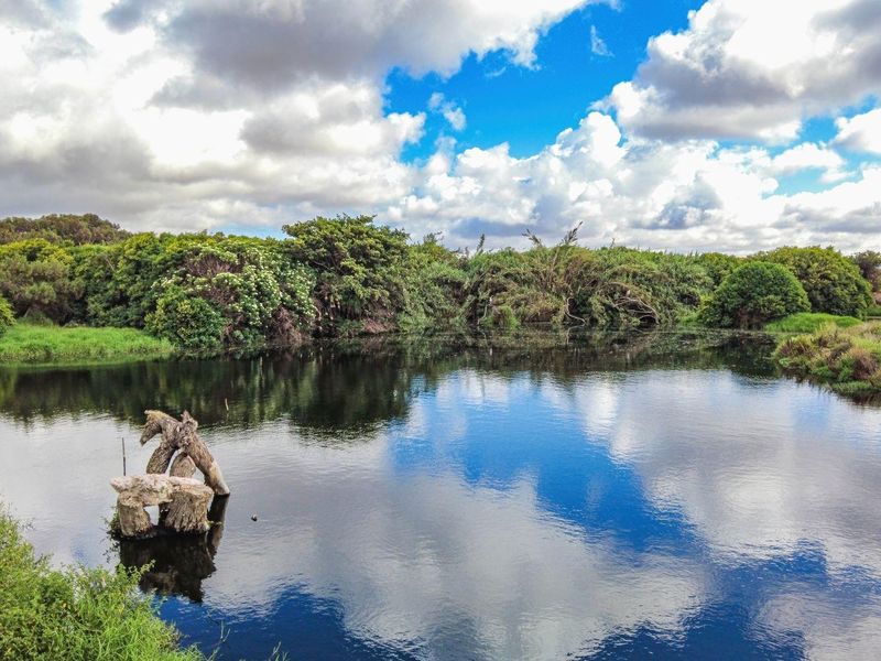 Vacant Land For Sale in Bluewater Bay, Saldanha - Photo 7