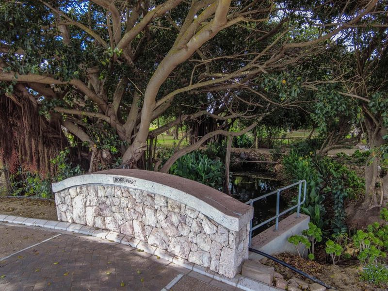 A stone-clad pedestrian bridge crossing a small water feature, surrounded by mature trees and established garden landscaping.