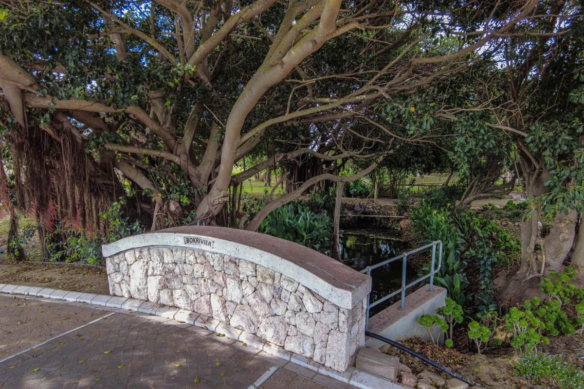 A stone-clad pedestrian bridge crossing a small water feature, surrounded by mature trees and established garden landscaping.