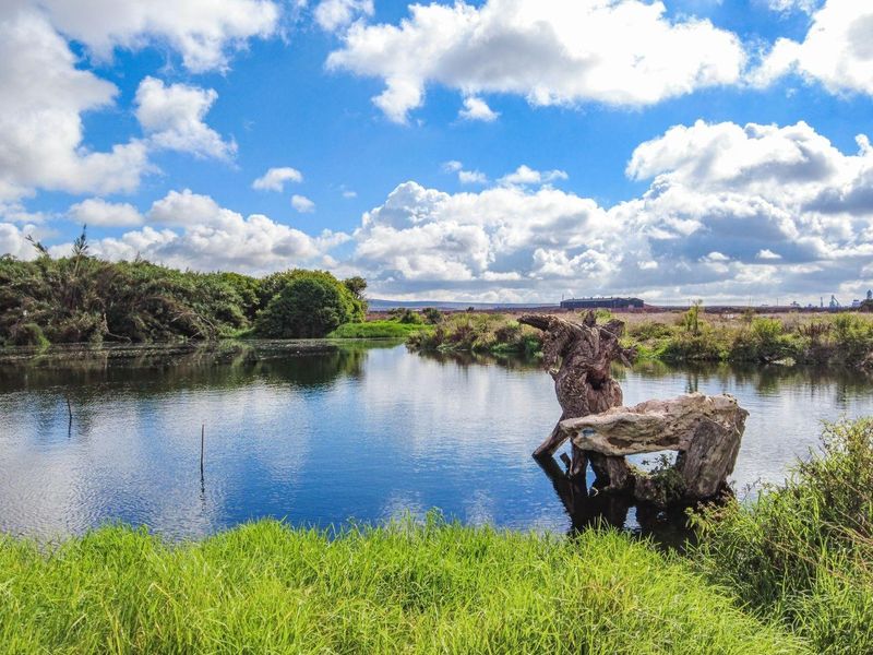 Vacant Land For Sale in Bluewater Bay, Saldanha - Photo 3