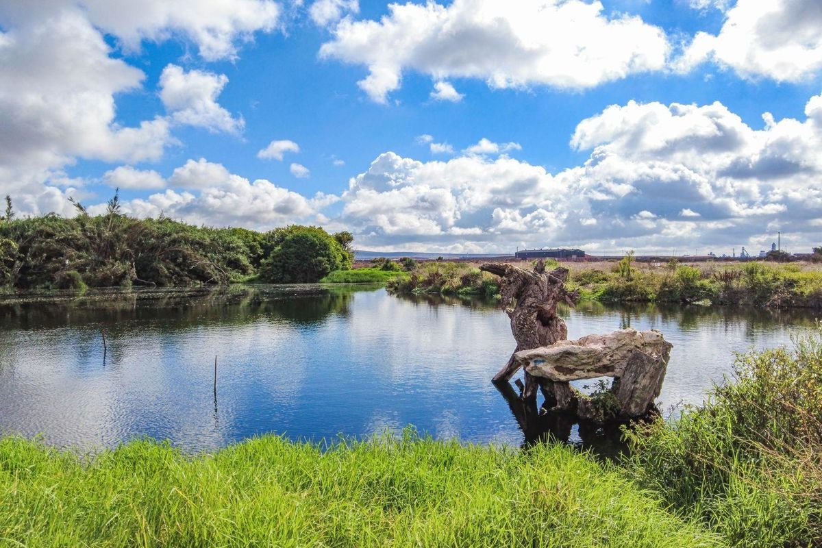 Vacant Land For Sale in Bluewater Bay, Saldanha - Photo 3