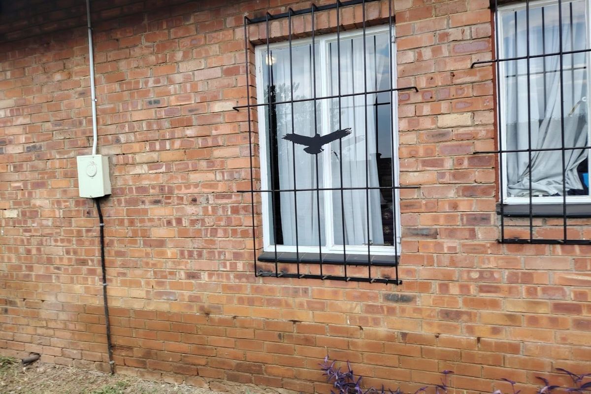 Spacious Dual-Living Property in the Heart of the Kwazulu-Natal Midlands - Photo 4