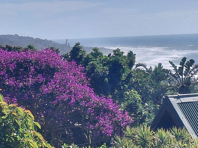 A scenic elevated view overlooking lush coastal vegetation and the ocean horizon.