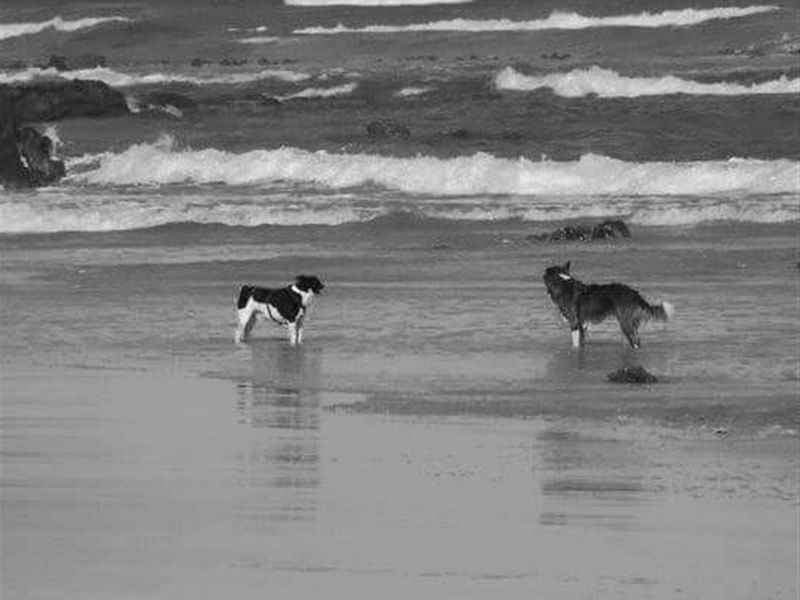 Built your home in the picturesque holiday town of Pearly beach - Plot and plan - white beaches - Photo 4