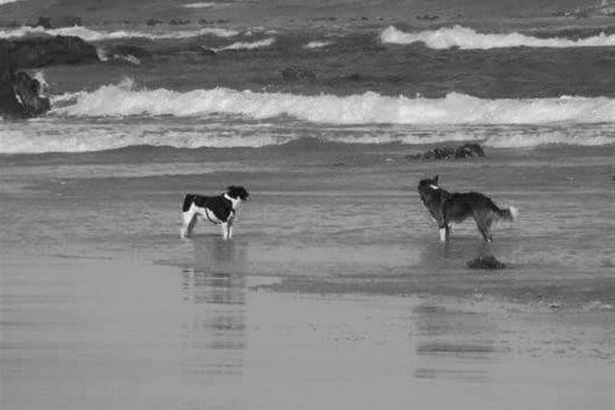 Built your home in the picturesque holiday town of Pearly beach - Plot and plan - white beaches - Photo 4