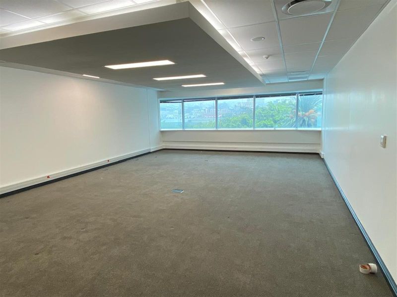 A spacious, empty office suite featuring a suspended ceiling with recessed lighting, carpeted flooring, and large windows offering an elevated view.