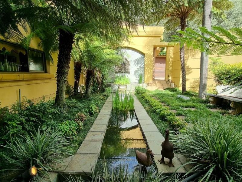 A tranquil garden courtyard featuring a central stone-lined water feature, lush tropical landscaping, and a decorative arched wall.