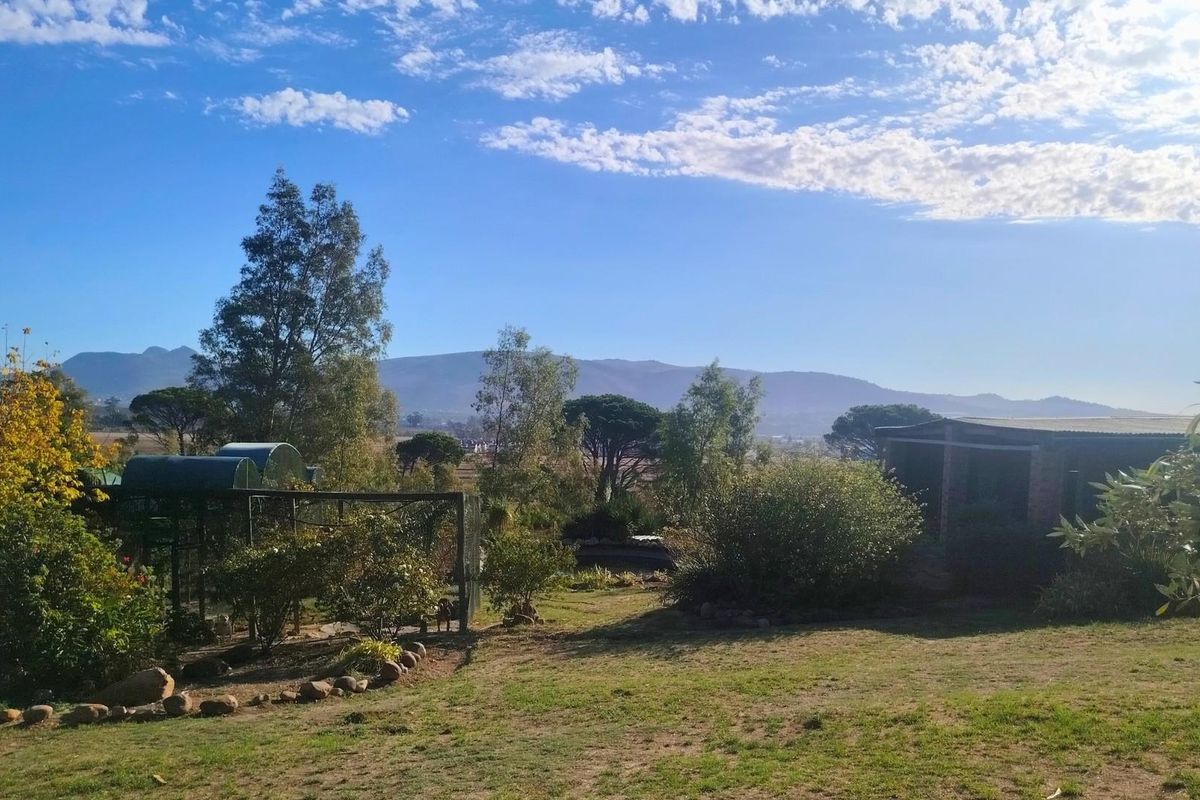 Income-Generating Paarl Smallholding with Established Kennel Business - Photo 5
